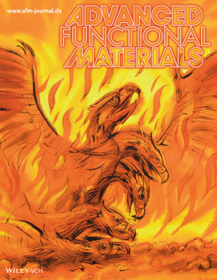 Advanced Functional Materials, 2014